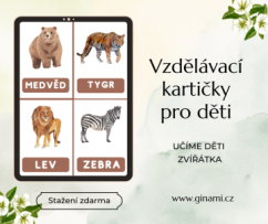 Vzdělávací kartičky pro děti PDF